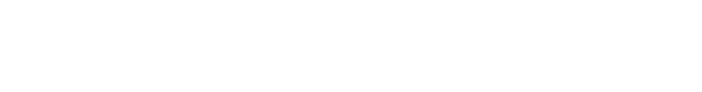 TOKYO PARK STORY